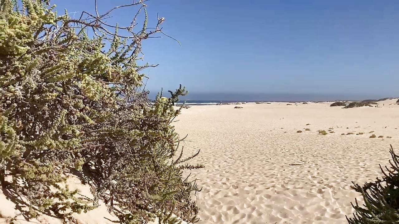 trim,3DF88C25-FF80-4432-82FE-D087B4E82819 - video by Verrocchio cam model