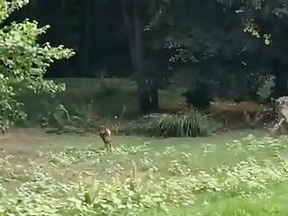 trim,EF8D73B5-6554-4129-A182-AA3E9B6033B0 - video by Verrocchio cam model