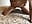 Doggy with facial at the end - vídeo de CallMeMaria