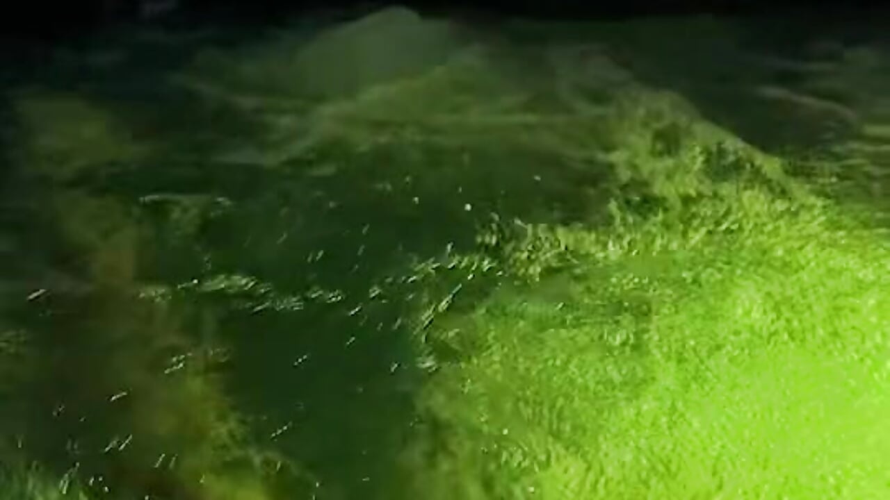 ✨Special Moment✨ - video by alexsandra_kiss cam model