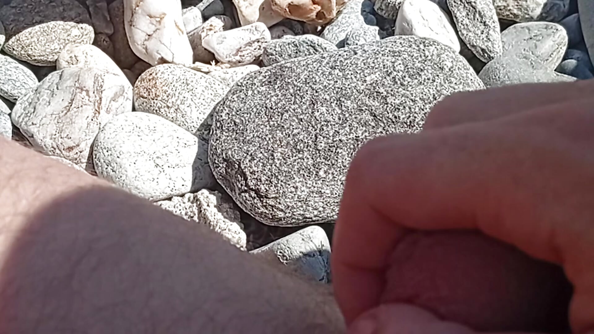 Moi a la plage naturiste - video by Grosbranleure cam model