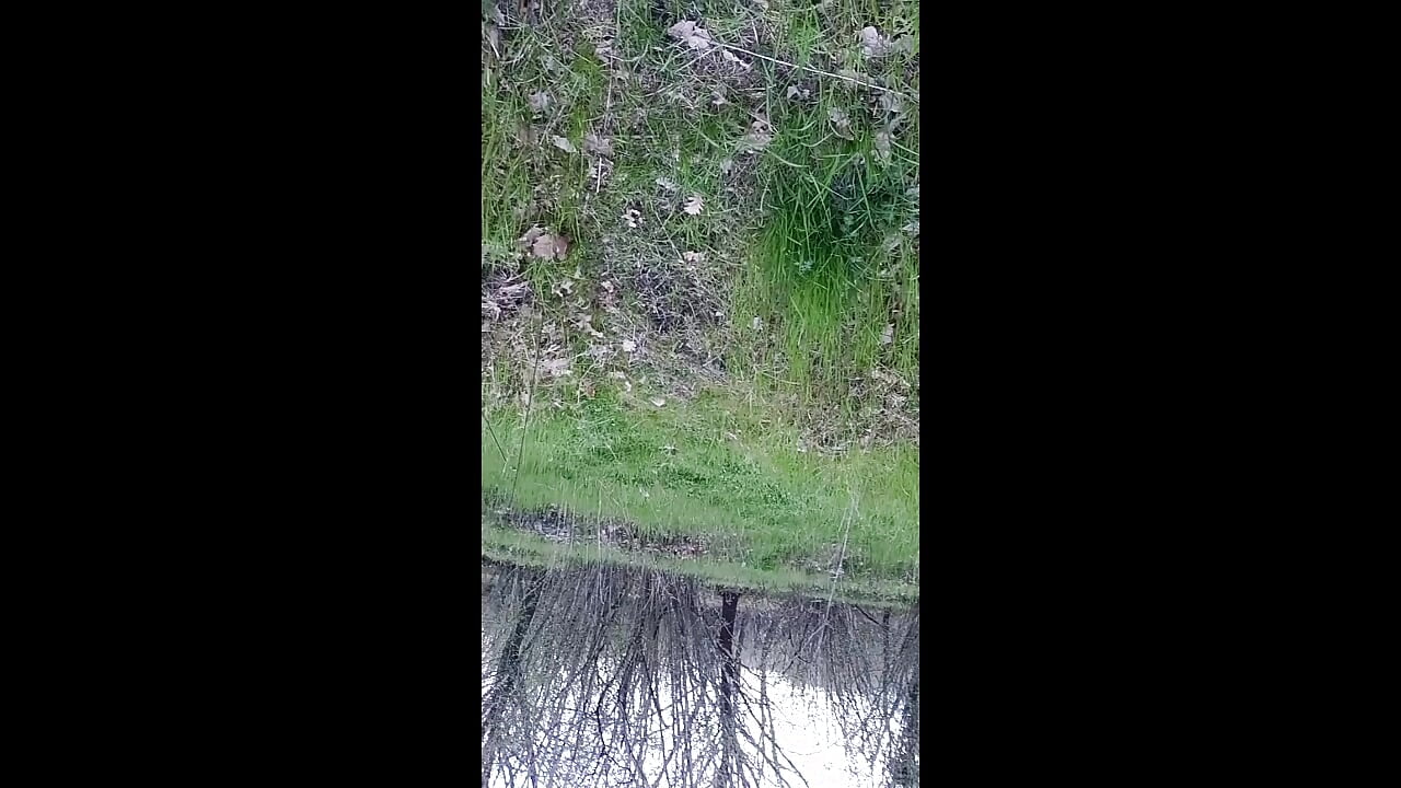 ALL NAKED IN THE WOODS BLOWJOB WITH FACE/TUTTA NUDA NEL BOSCO POMPINO CON VISO E AUDIO.🥵 - 視頻由 luciferelili 主播提供