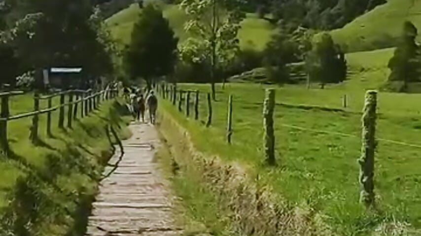 ✨ Enjoying my last days of vacation stay tuned for my countdown. - video by LunaCandy_ cam model