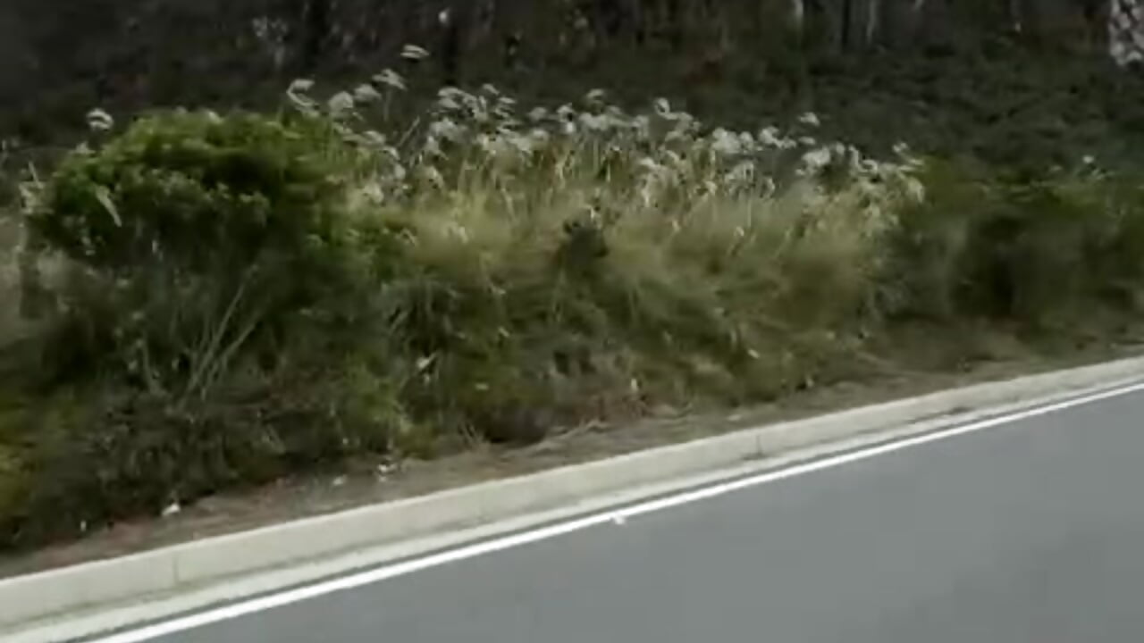 So Happy !! 🏍️ - video by LunaCandy_ cam model