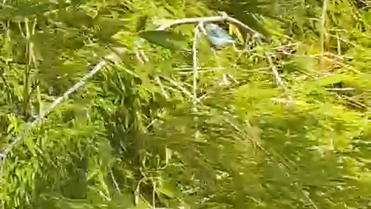 RELAX TIME 🍃 - video by LunaCandy_ cam model