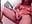 Nicky shaves - clip cu nicky_andcamil