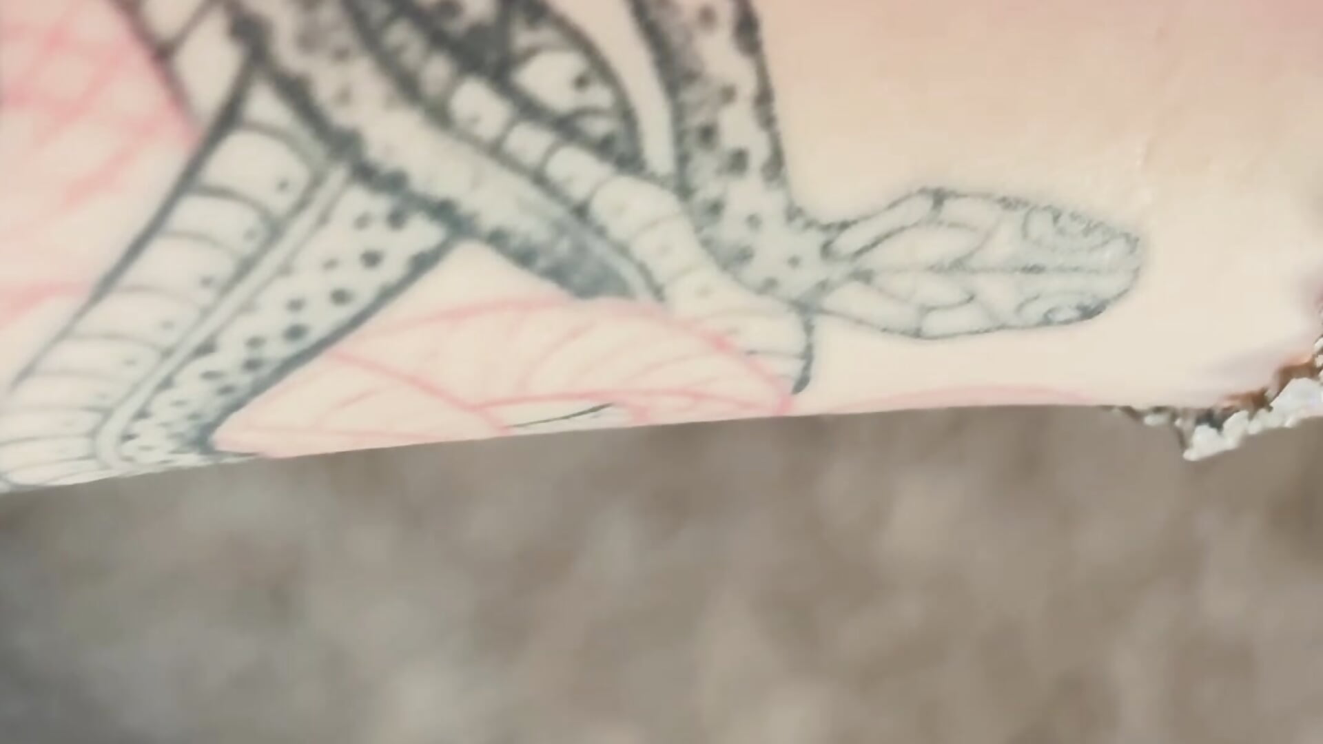 my tattoos <3 — filmik mevis_li, modela(-lki) na kamerkach