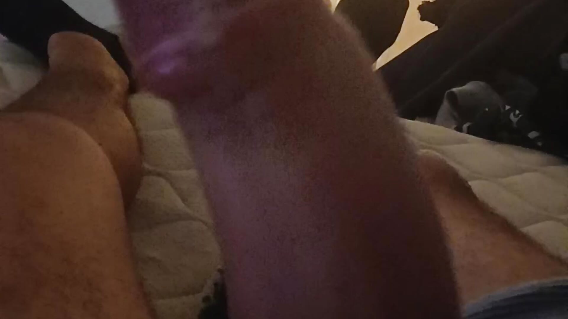 1000026773– kredazzbigdick kameramodell videója