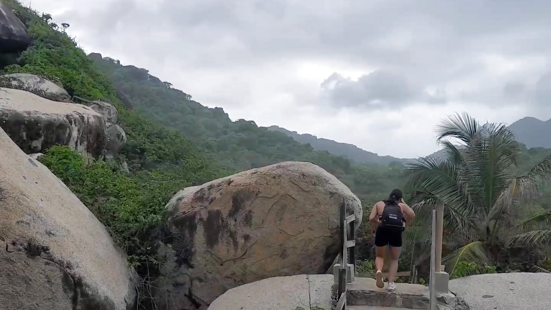 the majestic nature 🌲🍃 - vídeo de Quiinn_bx modelo de câmara