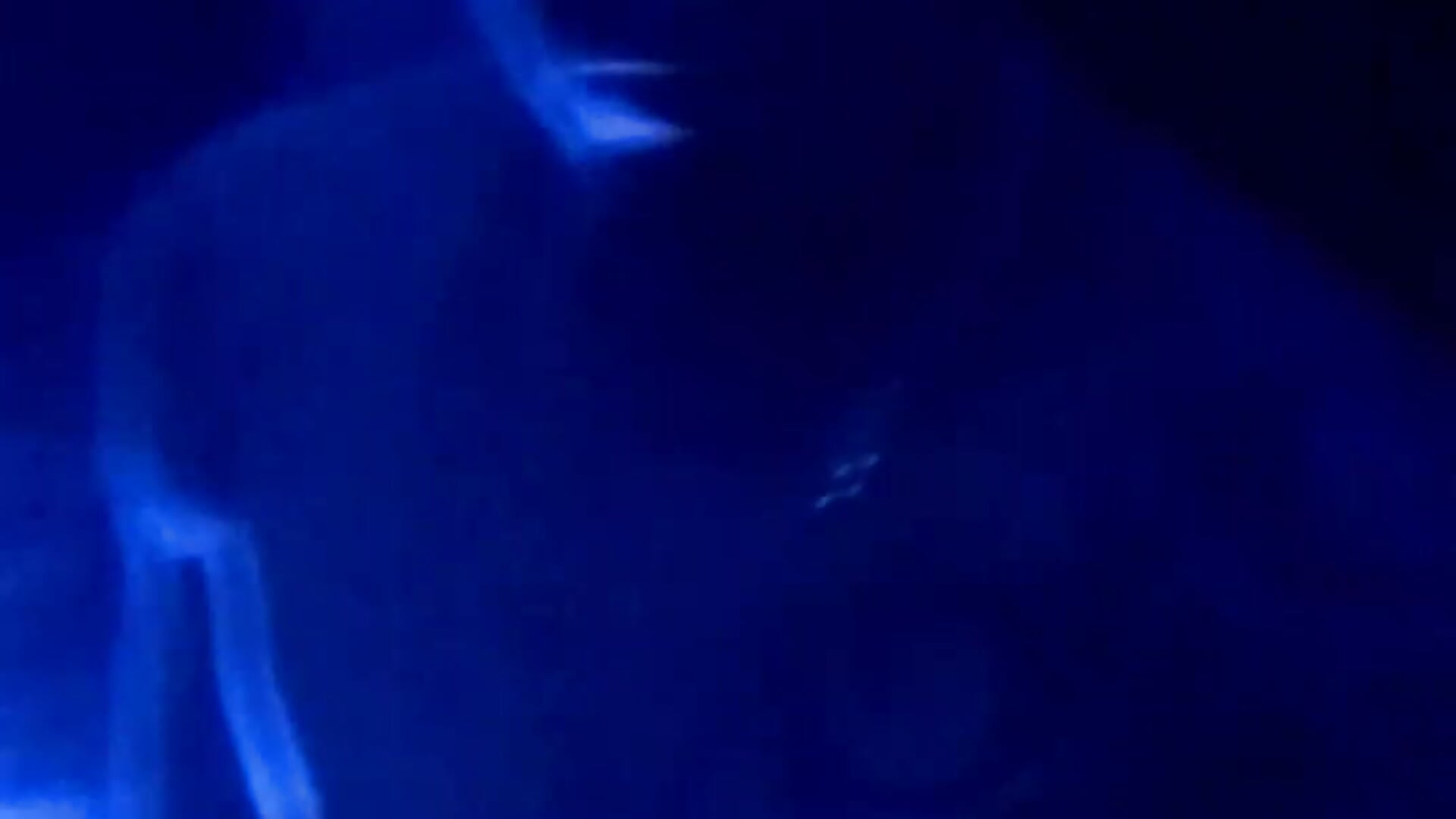 VID-20250112-WA0011 – video od webkamerové modelky Digitaltrashink