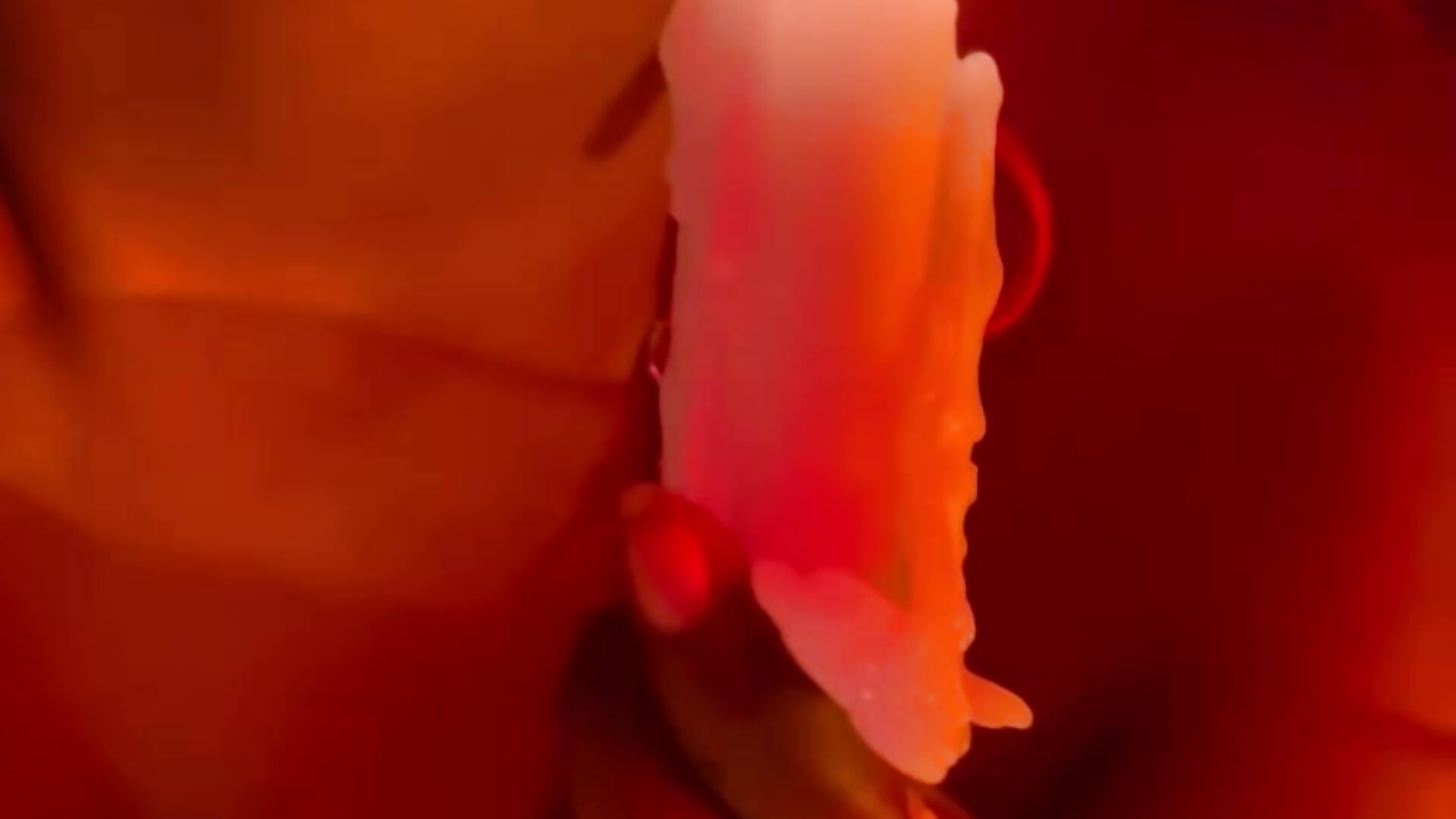 Ask for desire and I come true - video by Coral_Lise cam model