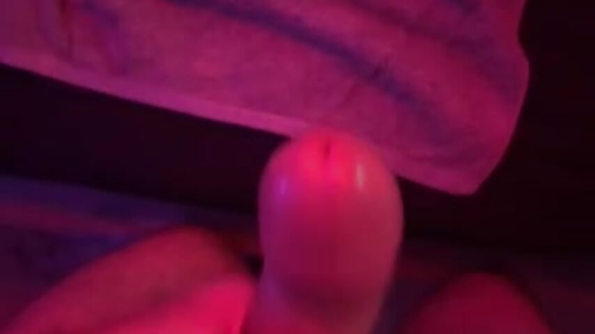 81017854886__33EADC75-77D7-46D3-ACA7-DC04A581F8CE