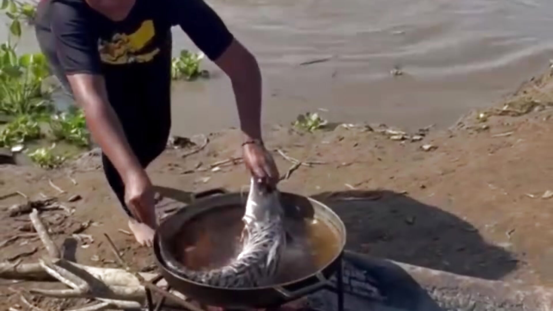 1000084955 - video by Smashing1990 cam model