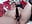 8556afb8-ad85-4ee9-9ea4-46760834fa50 - vídeo de QueenPammy1