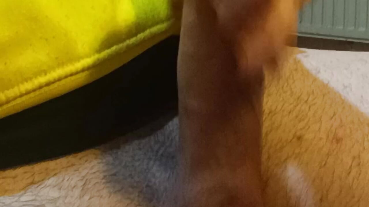 Legs POV masturbate and cumshot! =) – video od webkamerové modelky PlayfullDick00