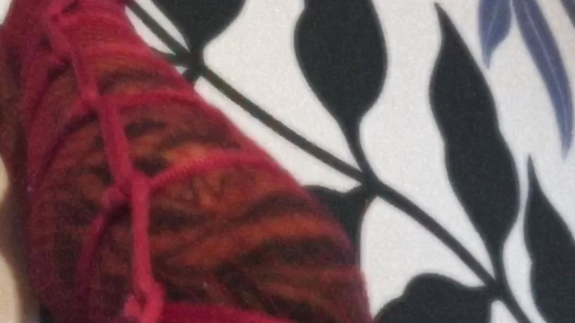 0b85ee8eb9dc4402868b89270b0a4cb4－カメラキャストのCamitattooの動画