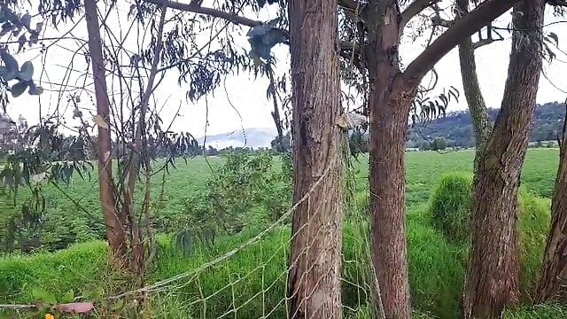 🌬️ - video di kity_x modella di cam