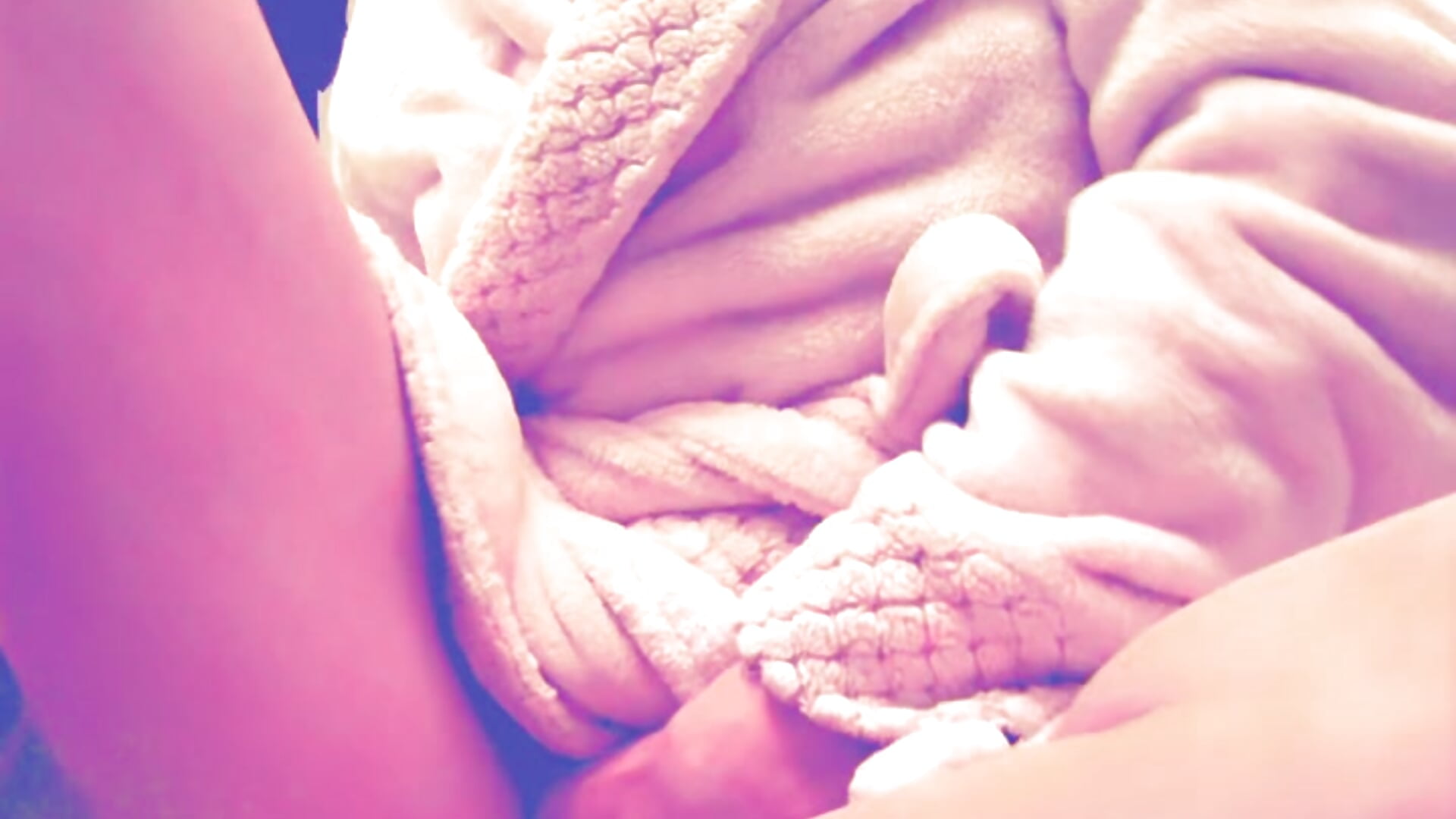 05078762-FCF7-43C1-A747-30B758473F5A - video by Lilbeezie81 cam model