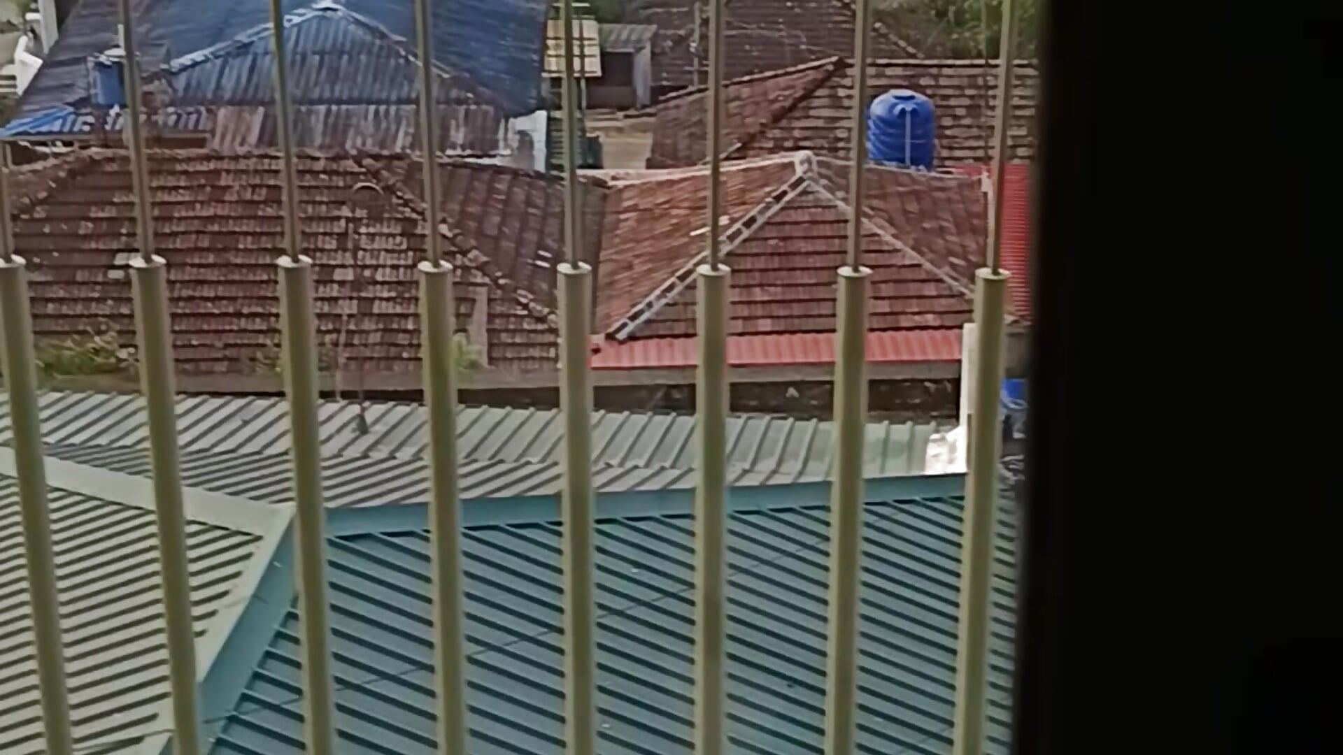 💎 - video by rickyjam999 cam model