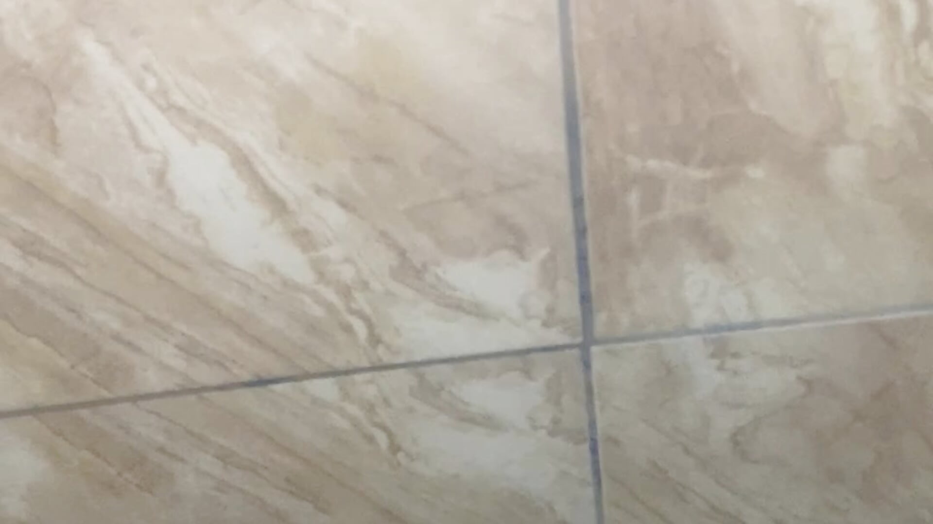 msgId1776859647602 - video by giyasbvnghkgkfk cam model