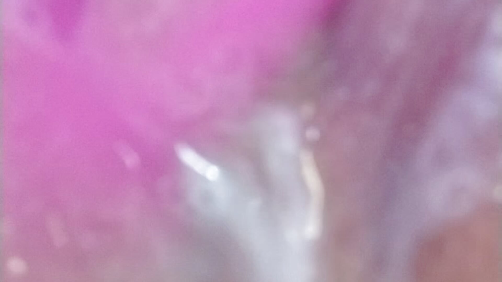 20210112_174355 - فيديو من Chloe29 موديل الكام