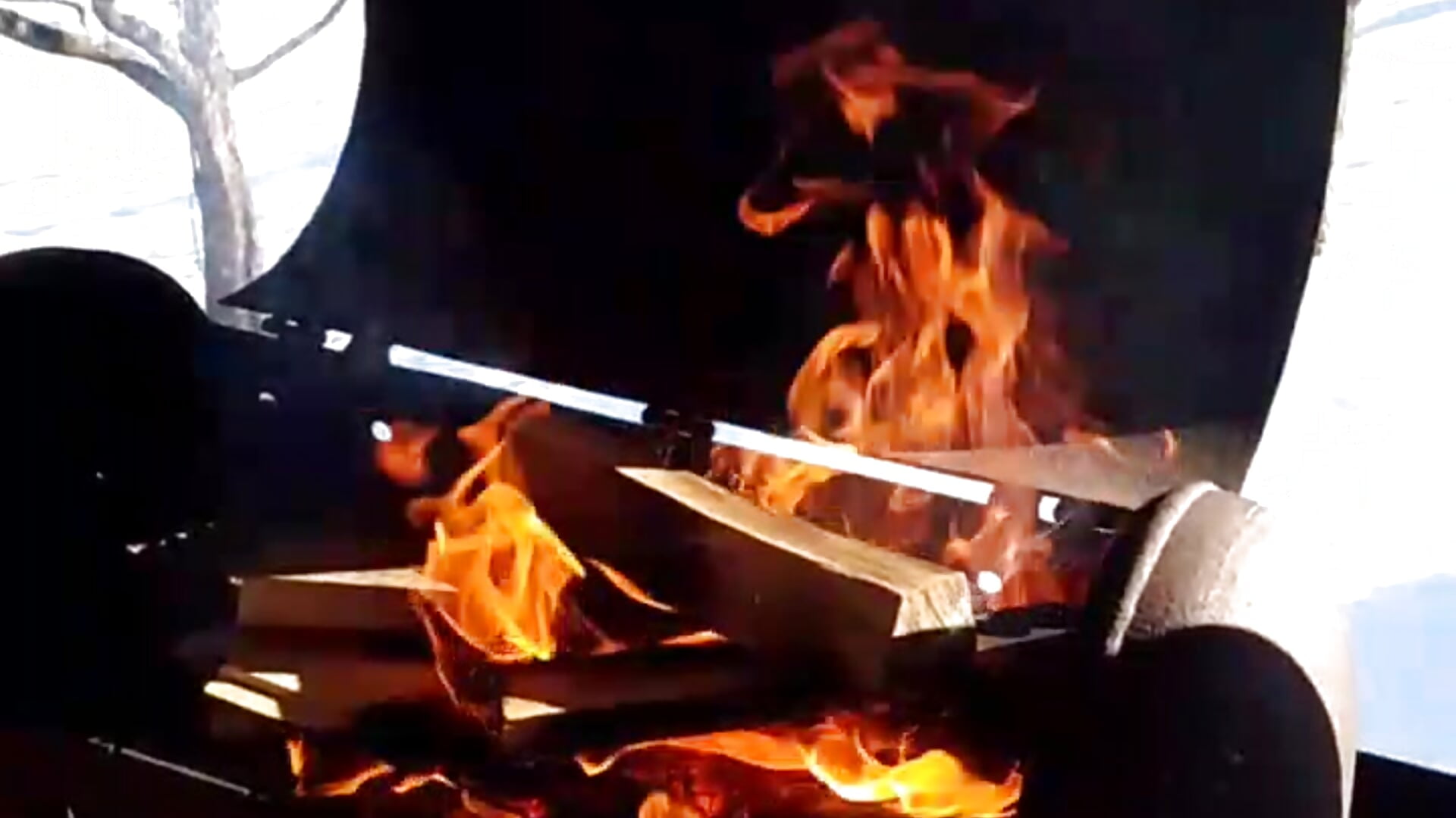 1000003298 - video by savitar2397 cam model