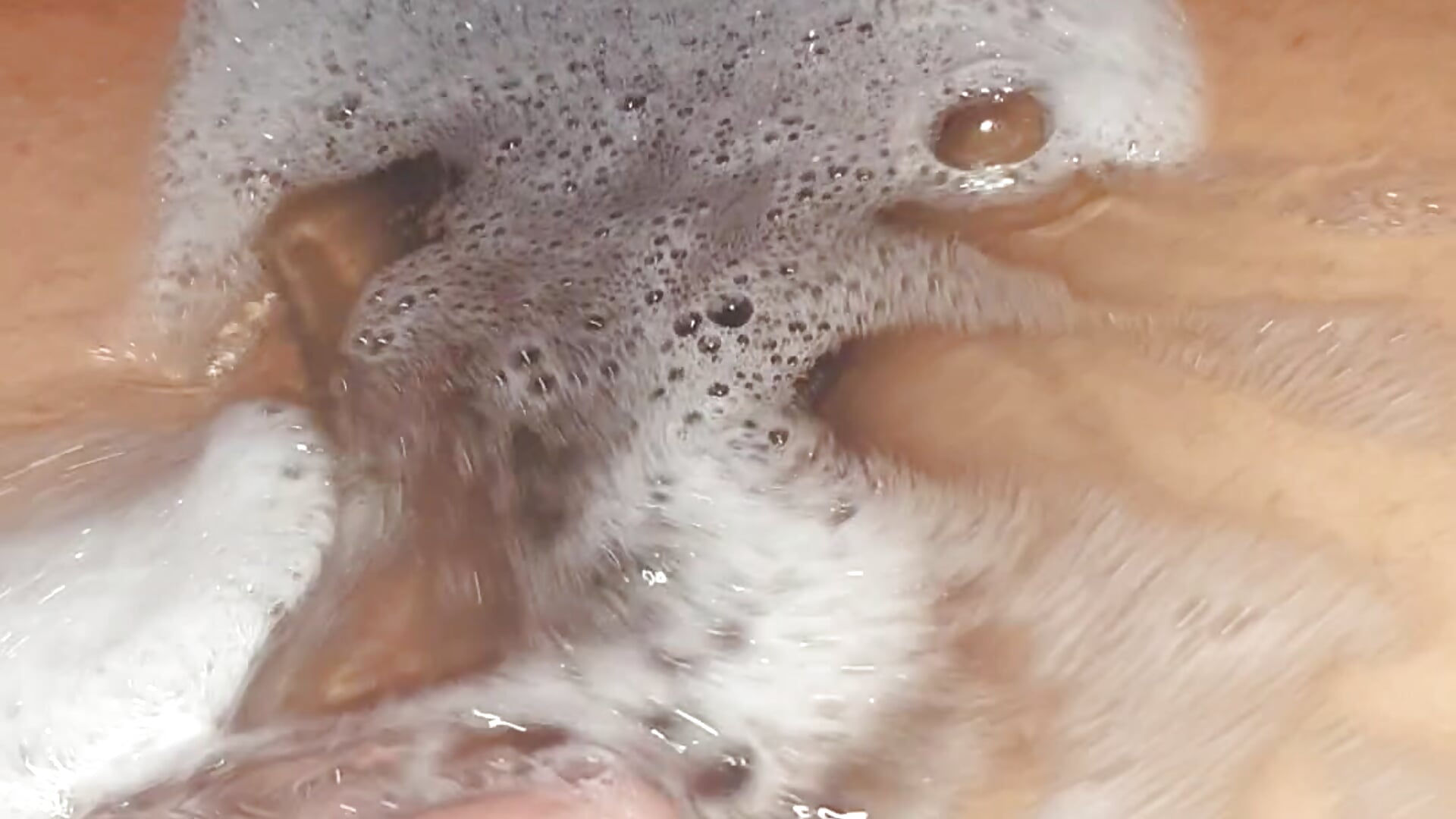 Bath time 👀 - video by TeaseMaster94 cam model