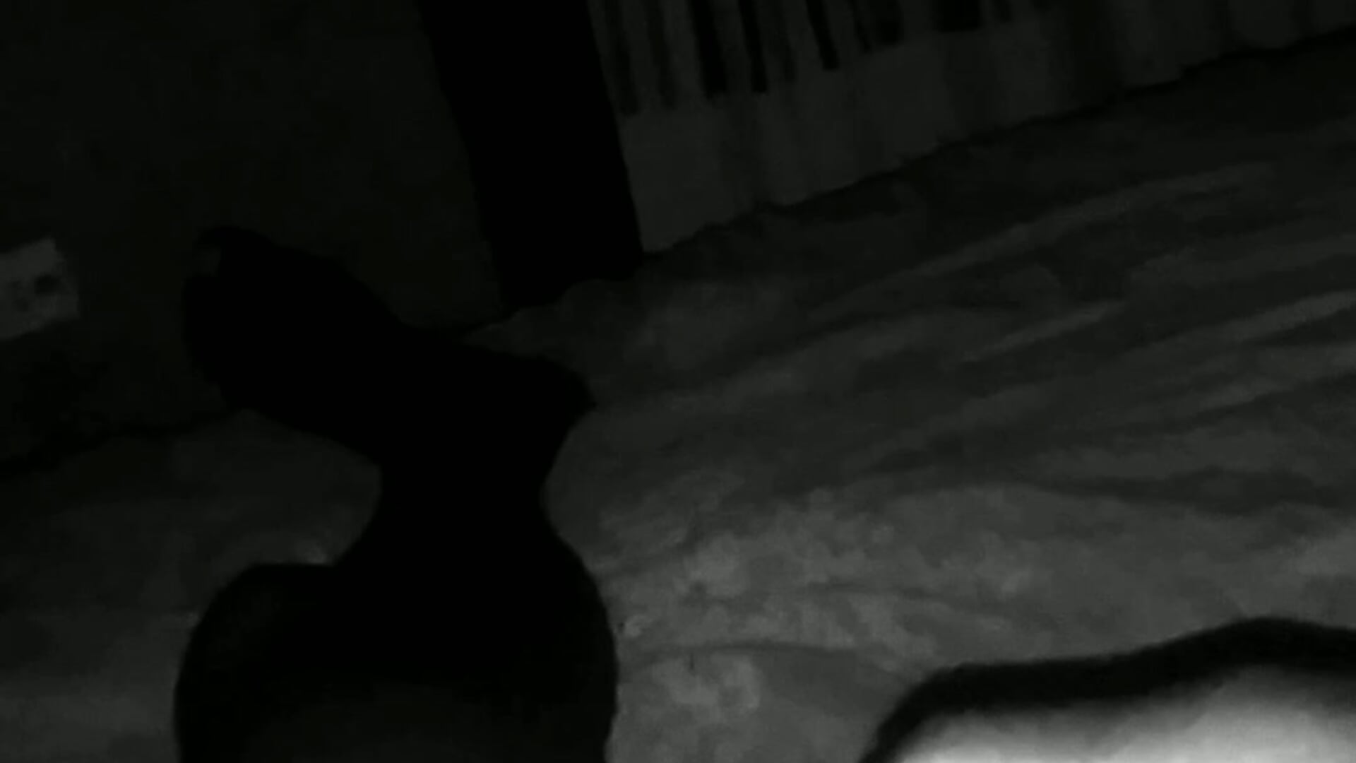 VID_20220720_020418(0) - video by soy-tuyo- cam model