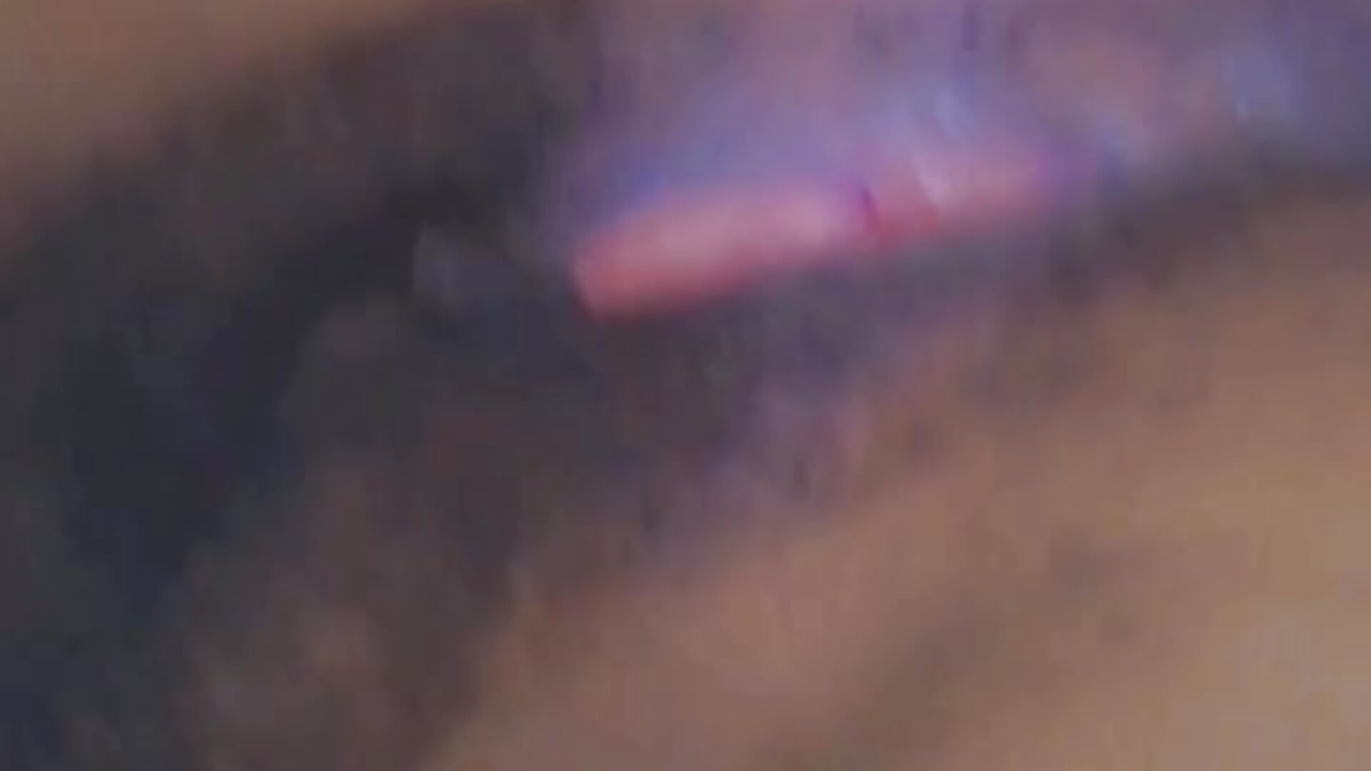 petal_20250325_212445 - video by Gingermarry cam model