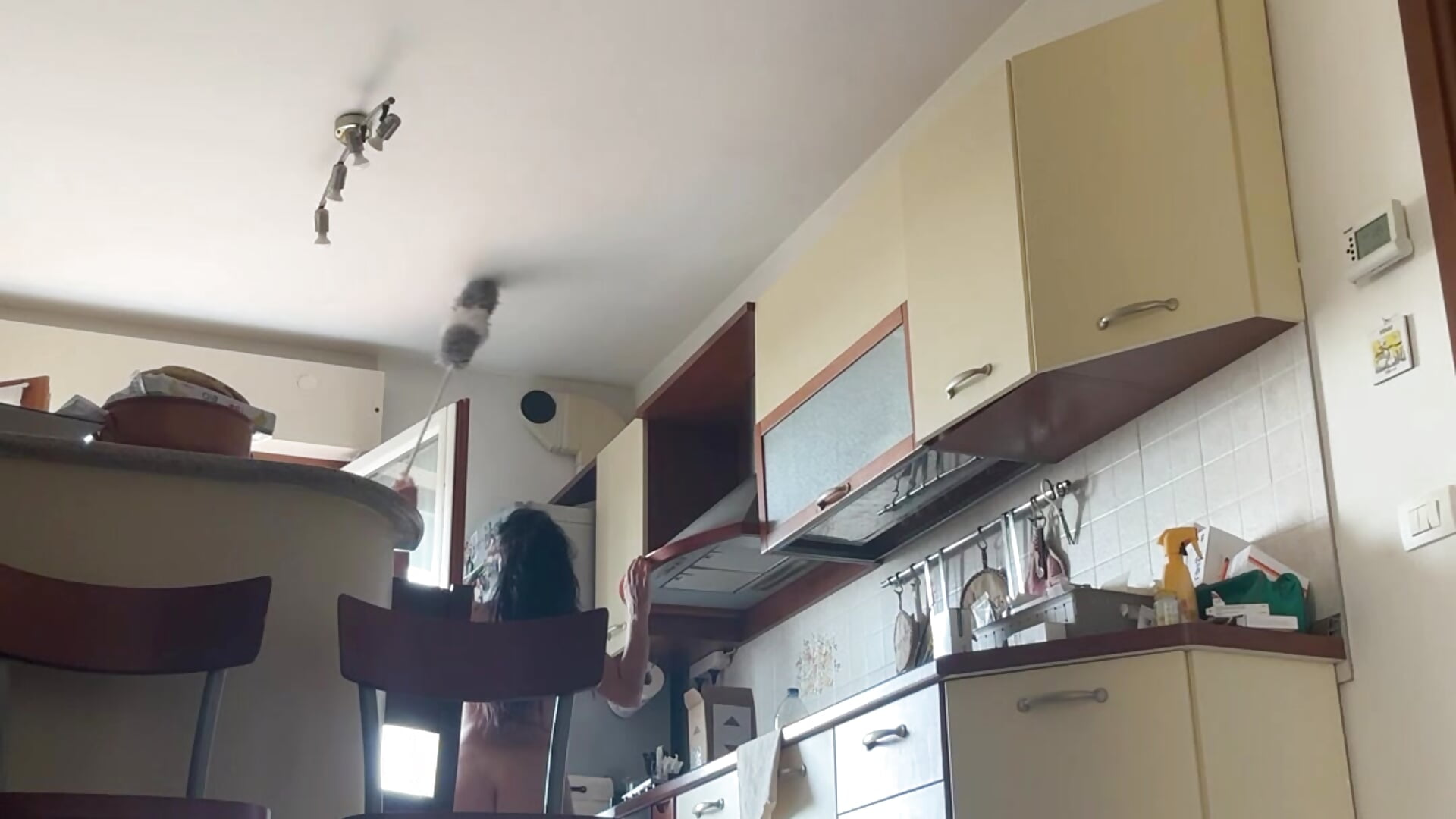 Spolvero così 🐷 - video by Transito7 cam model