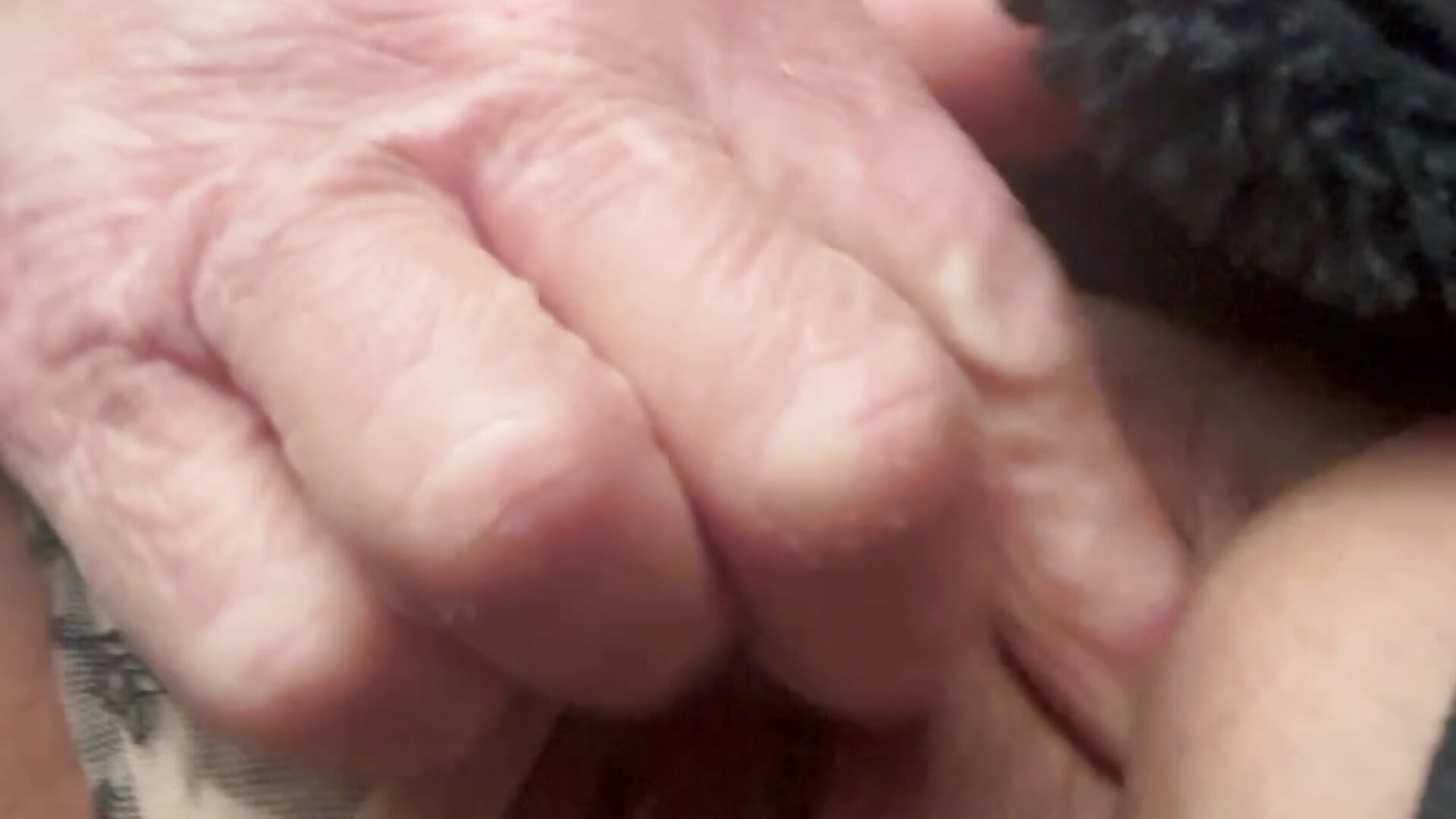 Il camionista  guarda - video by Transito7 cam model