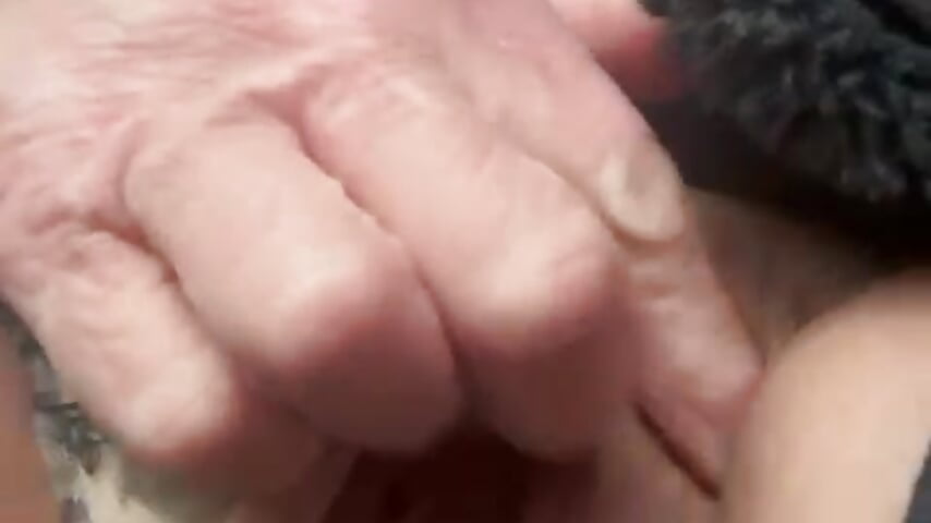 on the road  💋 - video by Transito7 cam model