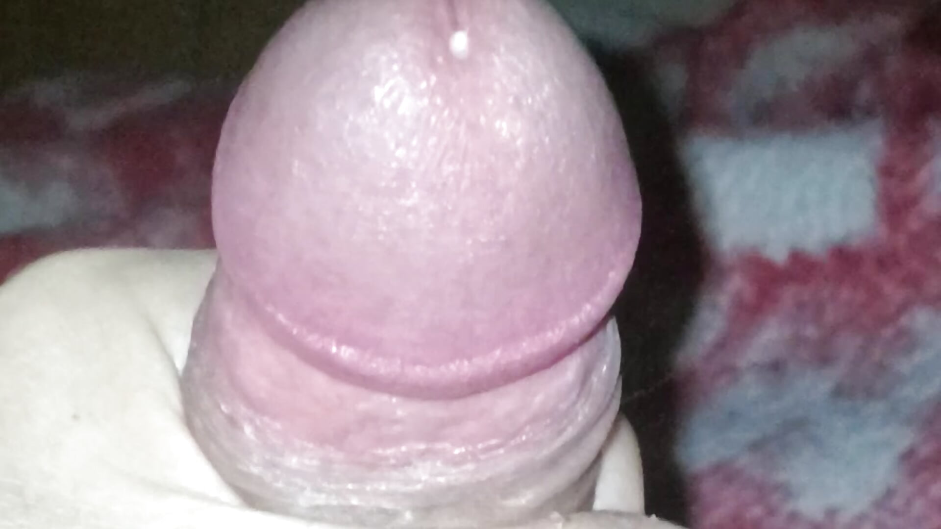 Cum - heruda主播的视频