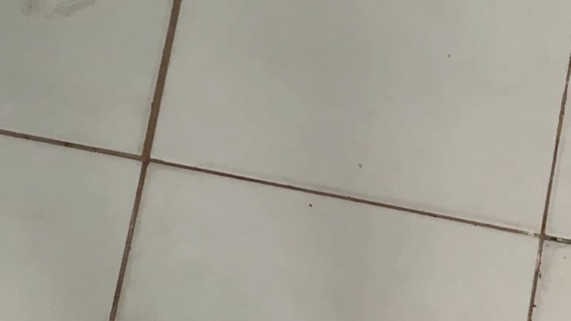 🔞🔥 - vídeo de branquinhodelicia modelo de câmara