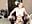 We tried it on the floor)) Tom got a few bruises) - video by julielourens cam model