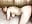 Cum twice in doggy and missionary - video by julielourens cam model