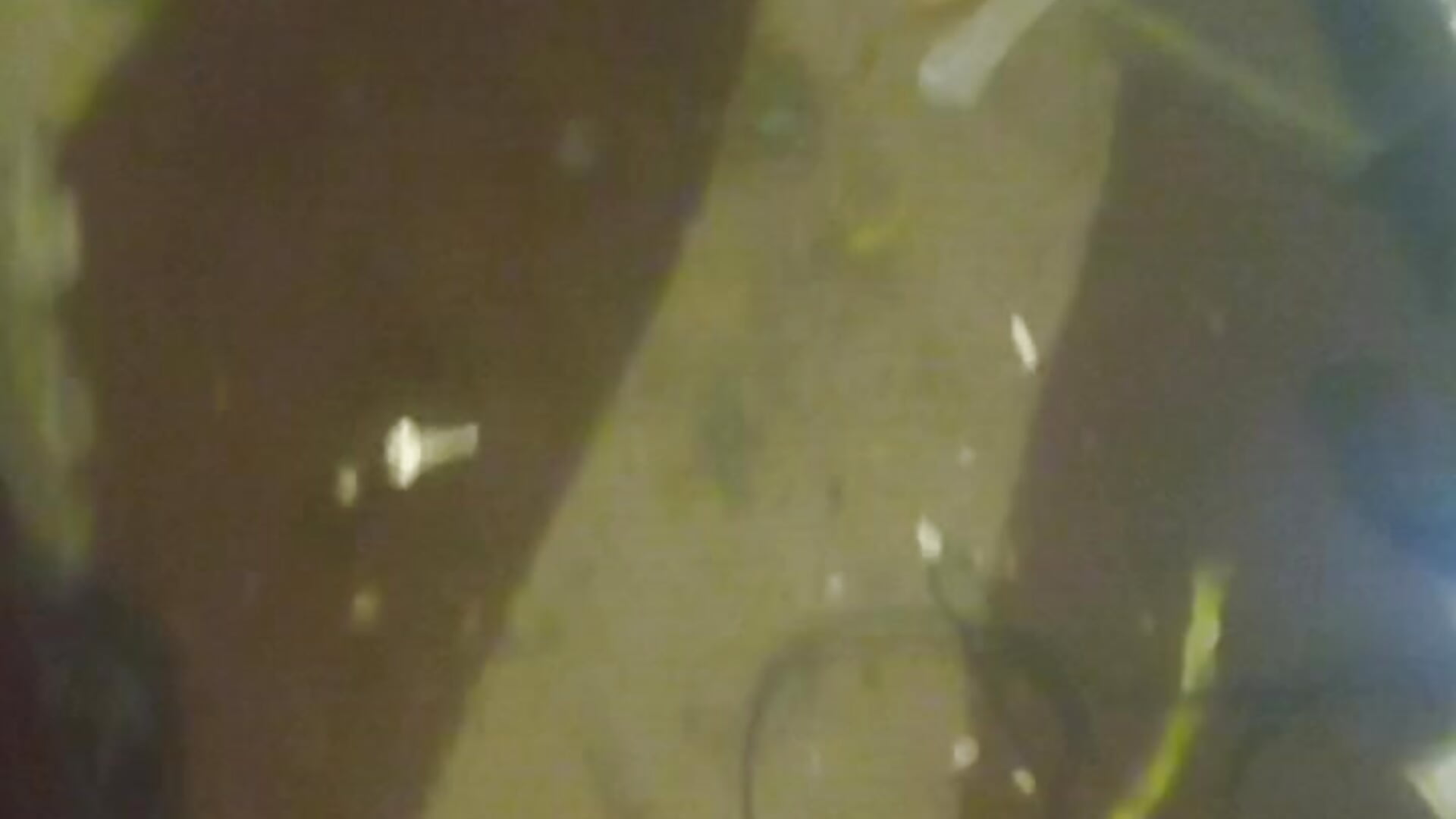 VID_20260203_060848 - clip cu Raspinxx model videochat