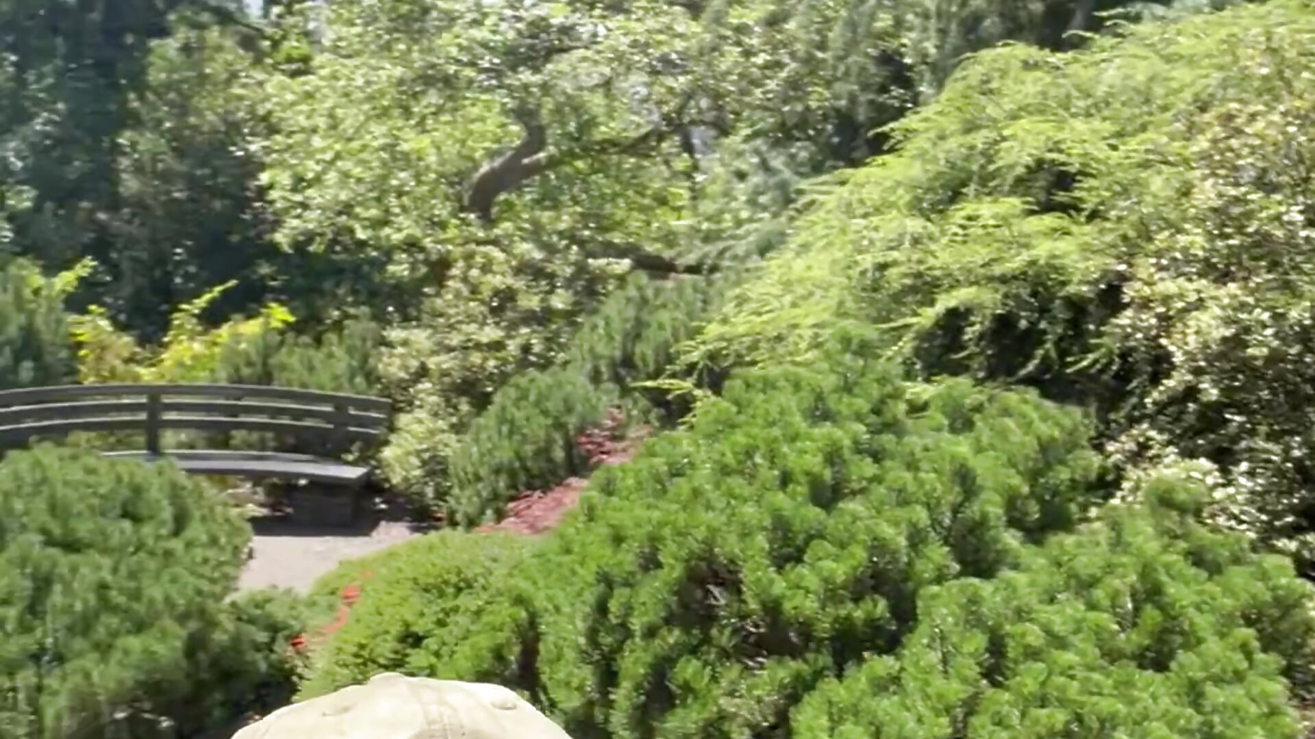 IMG_1960 - video by BriGuyXXX87 cam model