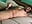 Ayush Cums over chest while haley watches and records! WITH FACE AND SOUND! - video by HaleyAyush cam model