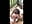 BJ in open balcony! HD+ with sound! - video by HaleyAyush cam model