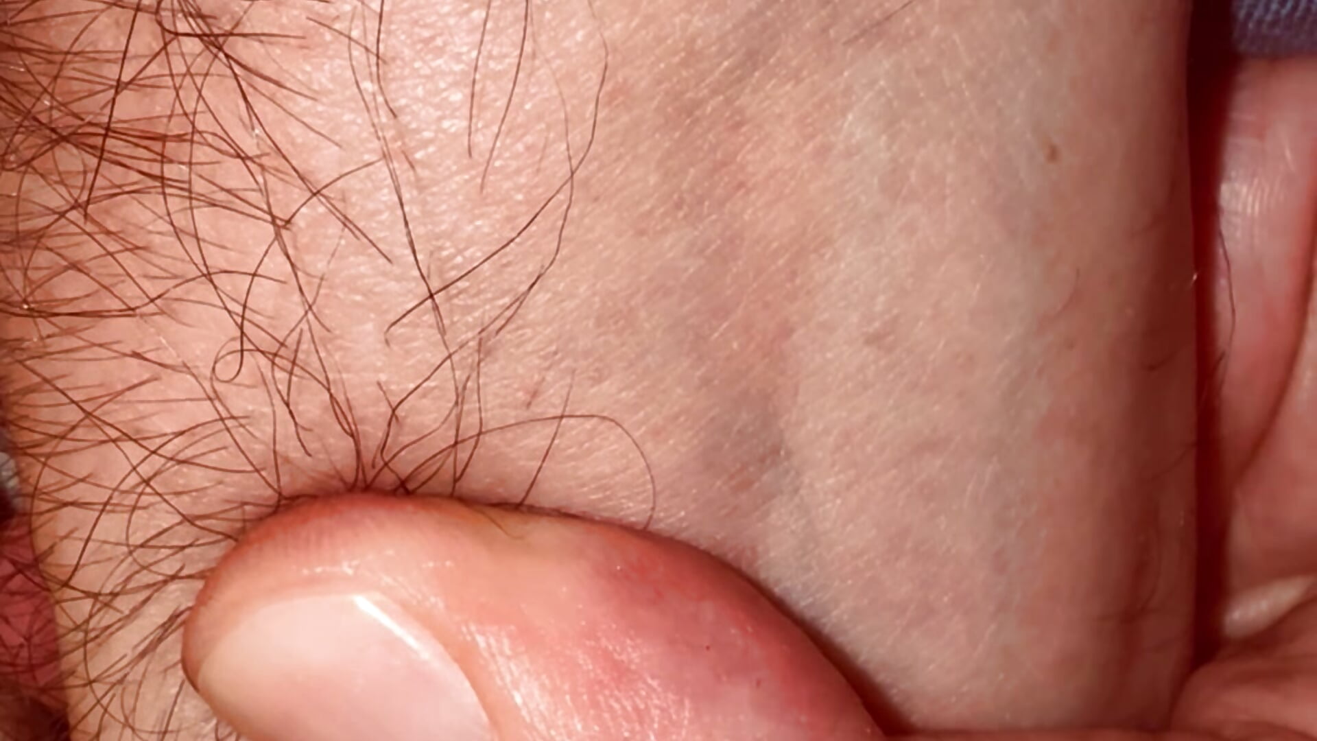 5 fingers in my Ass 💜🍑🔥 - clip cu Regine_5 model videochat