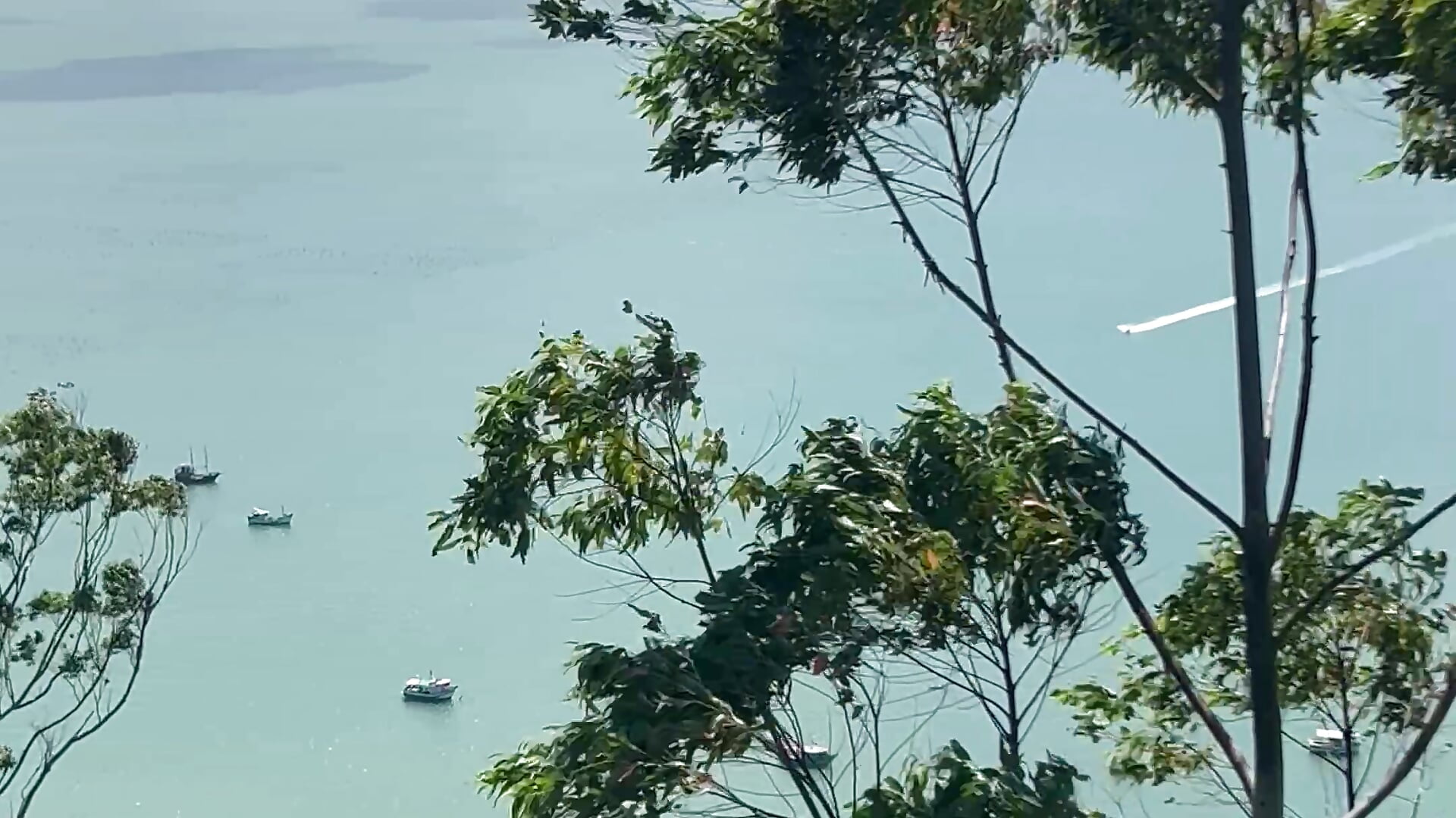 Siendo turista. - lushPeach主播的视频