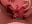 deep throating - video by seeunexttuesday cam model