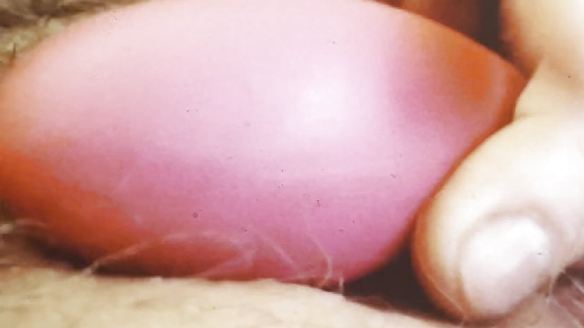 My little sweet dick - video by Ipanemko cam model