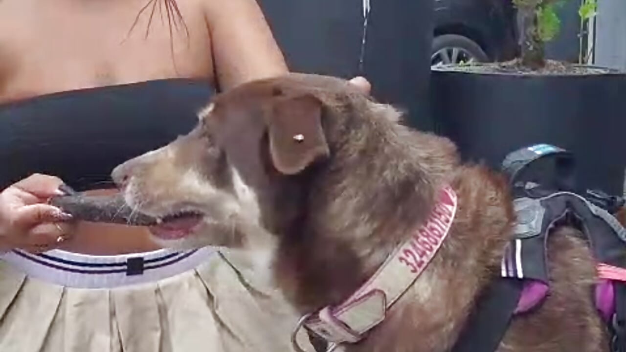 This is the beatifull BROWNIE - video di _Yesica_ modella di cam