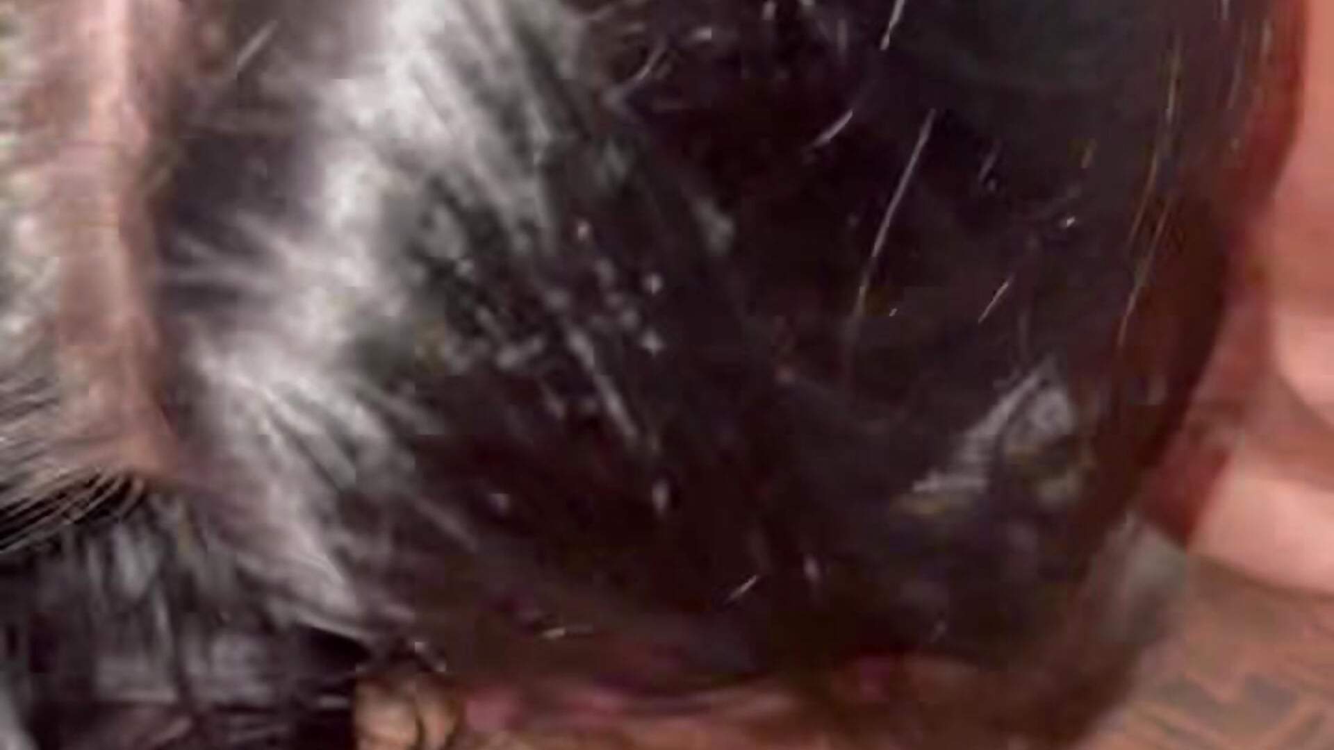 B/G blow job and cumshot in mouth 👄 💦