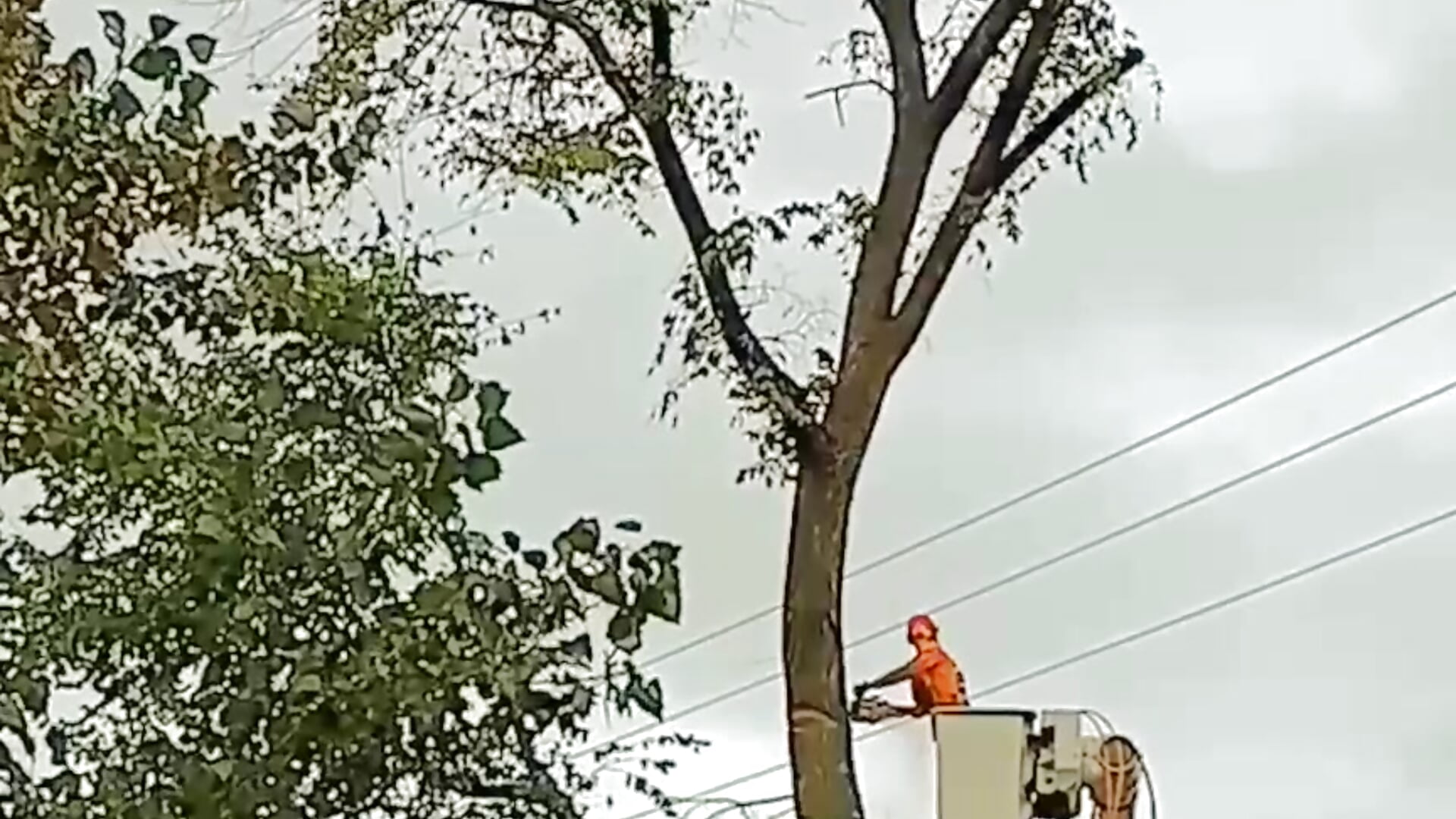 1000000584 - video by TomXXII cam model