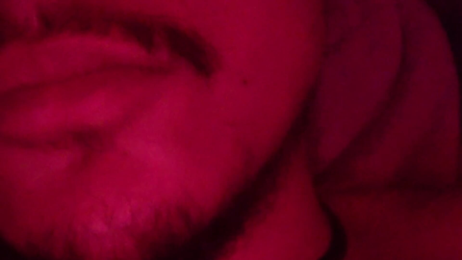 20250504_031614