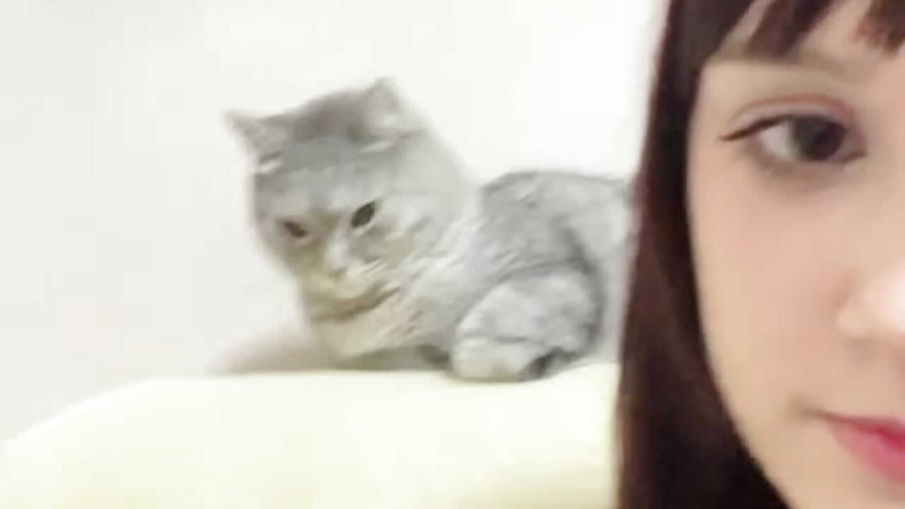 meow ** – video af DorisBuff