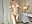 Sensual dancey-dance - video by AmityGearing cam model